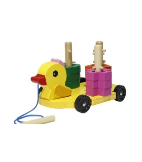 جایگذاری اشکال چوبی اردک | |9789651173721