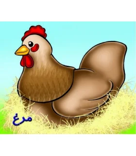 مرغ | خانه ادبیات |9789648133912