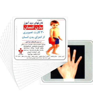 کارتهای دیدآموز بدن انسان | |9789651141454