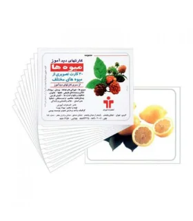 کارتهای دیدآموز میوه ها | |9789651141324