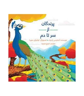 پرندگان از سر تا دم | فاطمی |9786226011983