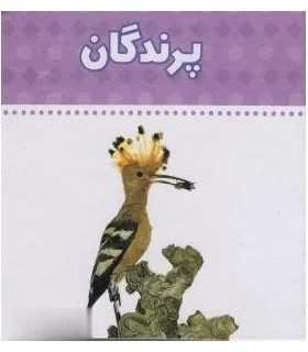 دنیای اطراف ما (پرندگان) | چکه |9789642970483