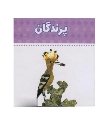 دنیای اطراف ما (پرندگان) | چکه |9789642970483