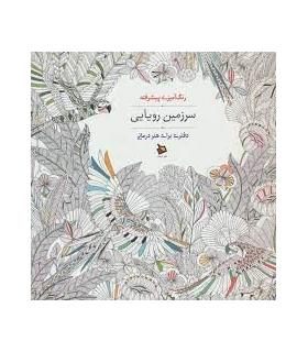 رنگ آمیزی پیشرفته (سرزمین رویایی) | دیبایه |2500110145083