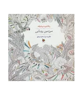 رنگ آمیزی پیشرفته (سرزمین رویایی) | دیبایه |2500110145083