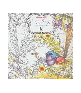 رنگ آمیزی پیشرفته (پرندگان زیبا) | دیبایه |2500110145595