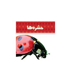 دنیای اطراف ما (حشره ها) | چکه |9789642970476