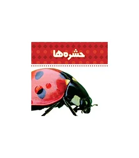 دنیای اطراف ما (حشره ها) | چکه |9789642970476