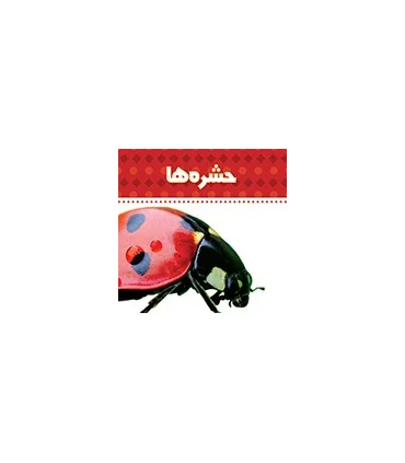 دنیای اطراف ما (حشره ها) | چکه |9789642970476