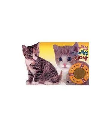 پیشی پیشی جان چه نازی | تولد |9789648681215