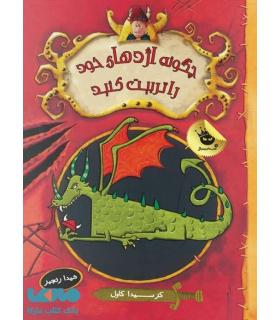 چگونه اژدهای خود را تربیت کنید | زعفران |9786006287232