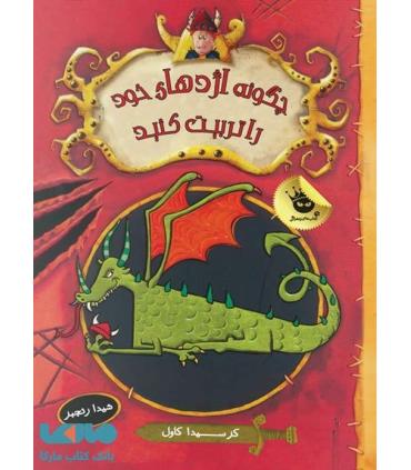 چگونه اژدهای خود را تربیت کنید | زعفران |9786006287232