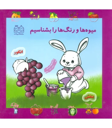 میوه ها و رنگ ها را بشناسیم | خانه ادبیات |9789645450333