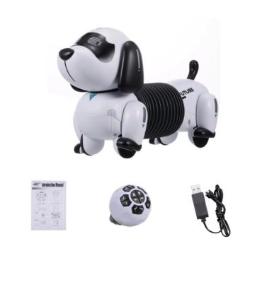 سگ کنترلی هوشمند کد: K22A | متفرقه |5591022298795