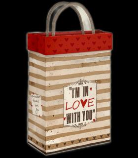 گیفت بگ فولدی سایز 2 طرح به خاطر داشتن کد: 2006 | لوتوس |5591022300352