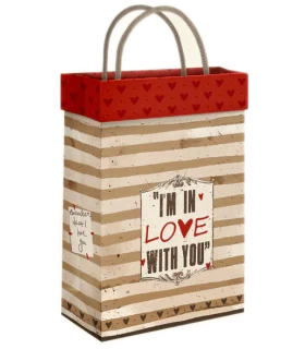 گیفت بگ فولدی سایز 2 طرح به خاطر داشتن کد: 2006 | لوتوس |5591022300352