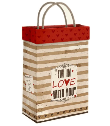 گیفت بگ فولدی سایز 2 طرح به خاطر داشتن کد: 2006 | لوتوس |5591022300352