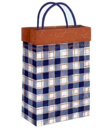 گیفت بگ فولدی سایز 2 طرح وصله کد: 2012 | لوتوس |5591022300354