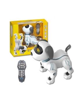 سگ کنترلی کد: JT385 | متفرقه |5591022299022