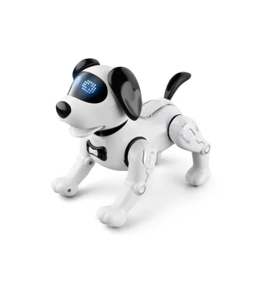 سگ کنترلی هوشمند کد: K11 | |5591022299023