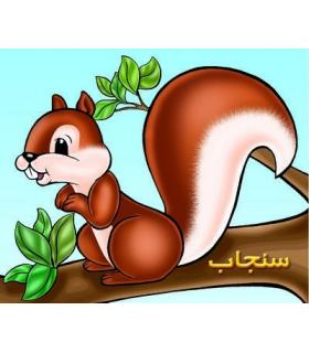 سنجاب | خانه ادبیات |9789648133899