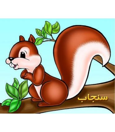 سنجاب | خانه ادبیات |9789648133899