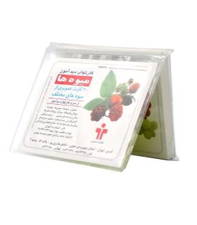 کارتهای دیدآموز میوه ها بزرگ |  |9789651182914