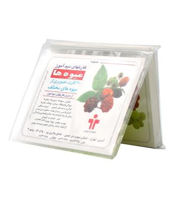 کارتهای دیدآموز میوه ها بزرگ |  |9789651182914