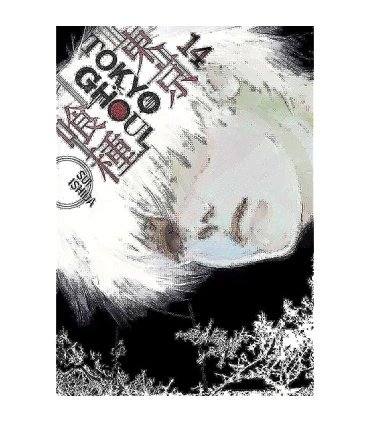 TOKYO GHOUL 14 | معیار علم |9781421590431