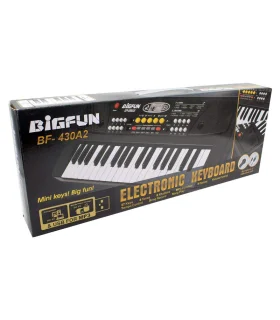 ارگ موزیکال BIGFUN کد: BF-430A2 | BIGFUN |55001569