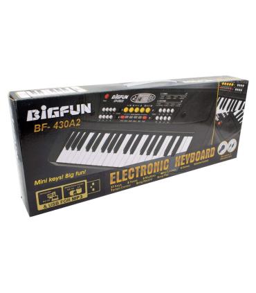 ارگ موزیکال BIGFUN کد: BF-430A2 | BIGFUN |55001569