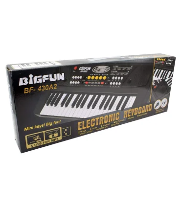 ارگ موزیکال BIGFUN کد: BF-430A2 | BIGFUN |55001569