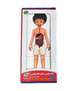 جورچین روی هم چین بدن انسان | صنایع آموزشی |5591022301649