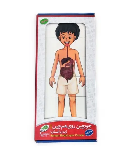 جورچین روی هم چین بدن انسان | صنایع آموزشی |5591022301649