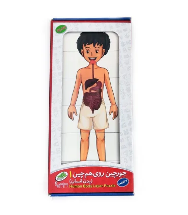 جورچین روی هم چین بدن انسان | صنایع آموزشی |5591022301649