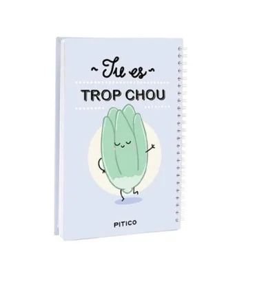 دفتر 100 برگ رقعی جلد سخت فرانسه پیتیکو | پیتیکو |300201121