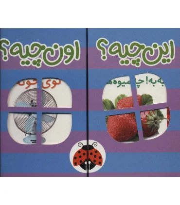 این چیه؟ اون چیه؟ (مجموعه 6 جلدی بنفش) | شهر قلم |9789642970971