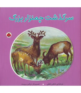 سرگذشت چمنزار بزرگ | شهر قلم |9786003203198