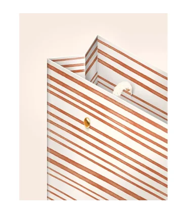 گیفت بگ موتیف سایز 3 طرح Streak لوتوس کادو