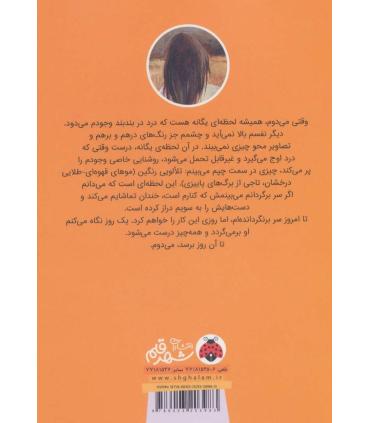 شیدایی 2 (هیاهو) | شهر قلم |9786003203983