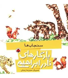 یادگاری های نادر ابراهیمی (سنجاب ها) | شهر قلم |9786003203044