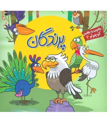 بخون و بچین کوچولو 4 (پرندگان) | آریا نوین |9786007957332