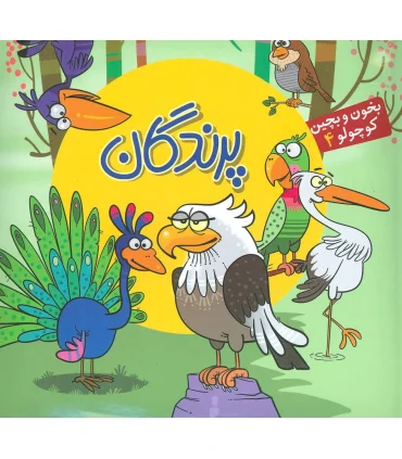 بخون و بچین کوچولو 4 (پرندگان) | آریا نوین |9786007957332