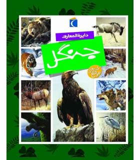 دایرة المعارف جنگل | محراب قلم |9786004133906