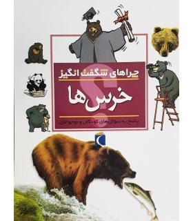 چراهای شگفت انگیز خرس ها | محراب قلم |9786004130523