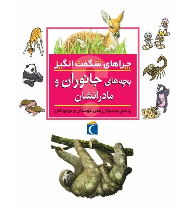 چراهای شگفت انگیز (بچه های جانوران و مادرانشان) | محراب قلم |9786004130271