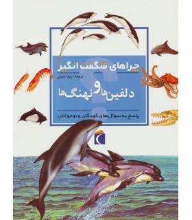 چراهای شگفت انگیز (دلفین ها و نهنگ ها) | محراب قلم |9786001039751