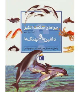 چراهای شگفت انگیز (دلفین ها و نهنگ ها) | محراب قلم |9786001039751
