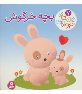 نی نی های حیوانات 7 (بچه خرگوش) | قدیانی |9786000804046