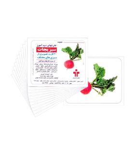 کارتهای دیدآموز سبزیجات |  |9789651141331